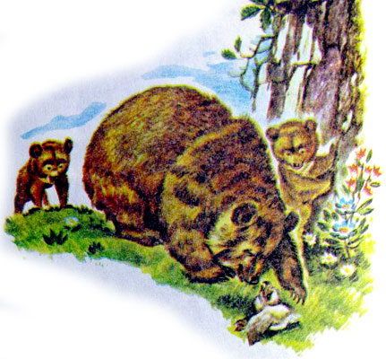 قصه کودکانه ماجرای سه بچه خرس-داستانهای مصوّر رنگی برای کودکان -ارشیو قصه و داستان ایپابفا